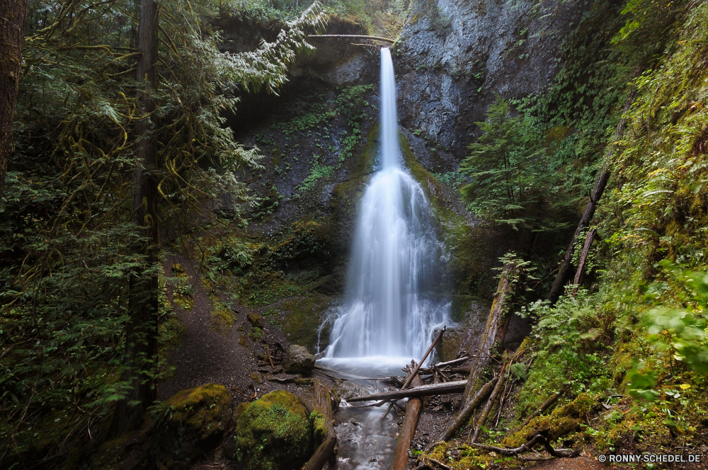 Olympic National Park Wasserfall Fluss Stream Wasser Wald Fels Kaskade Landschaft fällt Stein Wildnis Park Reisen im freien Berg Baum Umgebung fallen Strömung Frühling Felsen Moos fließende Brunnen Wild Creek Bewegung natürliche fallen im freien landschaftlich platsch friedliche Sommer nass Berge Wasserfälle Tourismus frisch glatte rasche felsigen nationalen Blatt gelassene Bäume Kühl Reinigen Struktur ruhige Wanderung Ökologie Bach Szenerie Szene Belaubung Geschwindigkeit Drop plantschen frische Luft Erhaltung Pflanze Kaskaden Schlucht Sanitär-Befestigung Abenteuer SWIFT entspannende Wandern Schlucht erfrischende Hölzer Brücke Hängebrücke Stromschnellen Flüsse Erholung Urlaub Herbst klar See Tropischer Land gischt Steine Saison Leuchte reine macht Holz Frieden Pazifischer Nordwesten seidige Dschungel üppige hoch Ruhe Gras Farn Farbe Extreme Garten Regen Paradies Bewegung Reinheit erfrischend Sonnenlicht Klippe vertikale waterfall river stream water forest rock cascade landscape falls stone wilderness park travel outdoor mountain tree environment fall flow spring rocks moss flowing fountain wild creek motion natural falling outdoors scenic splash peaceful summer wet mountains waterfalls tourism fresh smooth rapid rocky national leaf serene trees cool clean structure tranquil hike ecology brook scenery scene foliage speed drop splashing freshness conservation plant cascades canyon plumbing fixture adventure swift relaxing hiking ravine refreshing woods bridge suspension bridge rapids rivers recreation vacation autumn clear lake tropical country spray stones season fixture pure power wood peace pacific northwest silky jungle lush high calm grass fern color extreme garden rain paradise movement purity refreshment sunlight cliff vertical