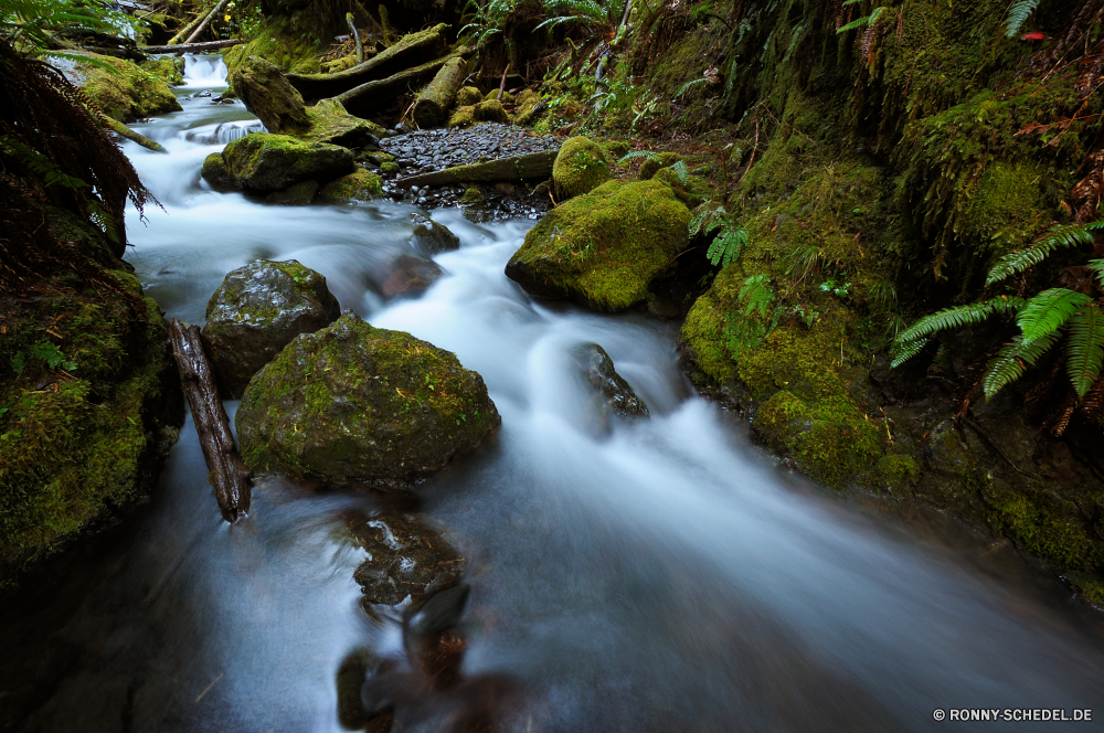 Olympic National Park Wasserfall Fluss Stream Wasser Wald Fels Stein Strömung Creek Landschaft Berg Brokkoli fallen Kaskade fließende im freien Moos Park Felsen Baum Umgebung platsch Frühling natürliche nass friedliche Wild Wildnis Bewegung Szenerie Steine frisch Sommer Berge fällt Herbst nationalen glatte Reisen im freien Wasserfälle Blatt Hölzer Bäume landschaftlich felsigen ruhige Gemüse Szene Reinigen Bach Kanal Körper des Wassers gelassene Flüsse reine Belaubung zu produzieren Drop Land Kühl Saison Tourismus Blätter Geschwindigkeit fallen erfrischende Ökologie Frieden entspannende seidige Flüssigkeit Pflanze Erhaltung Holz Ströme rasche Wanderung verschwommen Abenteuer aquatische Ruhe frische Luft klar Flüssigkeit üppige Schlucht bunte niemand Tropischer Harmonie Farbe lange Landschaft Erholung Kaskaden Stromschnellen Belichtung Dschungel Ausführen Regen See Weichzeichnen Reinheit Urlaub gelb Entwicklung des ländlichen lebendige waterfall river stream water forest rock stone flow creek landscape mountain broccoli fall cascade flowing outdoor moss park rocks tree environment splash spring natural wet peaceful wild wilderness motion scenery stones fresh summer mountains falls autumn national smooth travel outdoors waterfalls leaf woods trees scenic rocky tranquil vegetable scene clean brook channel body of water serene rivers pure foliage produce drop country cool season tourism leaves speed falling refreshing ecology peace relaxing silky fluid plant conservation wood streams rapid hike blurred adventure aquatic calm freshness clear liquid lush canyon colorful nobody tropical harmony color long countryside recreation cascades rapids exposure jungle running rain lake blur purity vacation yellow rural vibrant