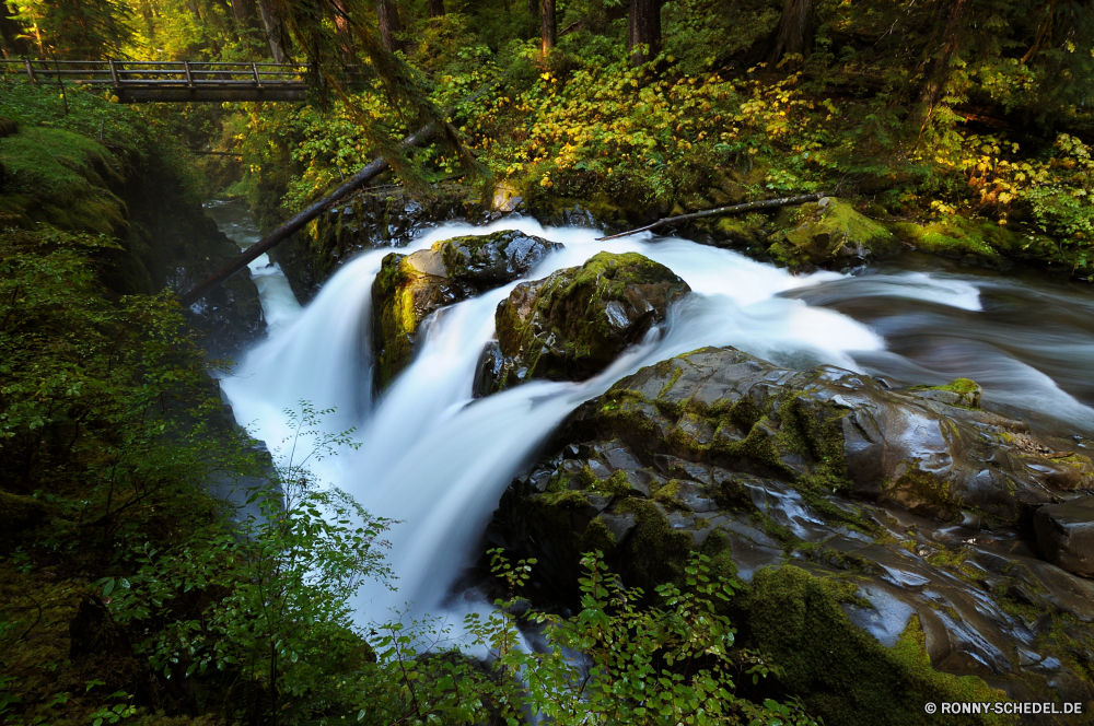 Olympic National Park Wasserfall Fluss Wasser Stream Wald Fels Landschaft Stein Strömung Kaskade fallen Creek Park Umgebung Wildnis Moos Felsen Bewegung Baum Frühling im freien natürliche fließende Berg Wild platsch friedliche fällt Reisen im freien nass fallen frisch landschaftlich glatte Sommer Wasserfälle Kühl Berge Steine Szenerie gelassene Blatt nationalen Eis Saison felsigen Reinigen Herbst Eisberg ruhige Bäume Brunnen frische Luft Tourismus rasche Ökologie Erhaltung reine Szene Pflanze See Land kalt Bach Frieden Flüsse Drop Wanderung Wandern Abenteuer klar Belaubung plantschen Möwe Hölzer Harmonie Erholung erfrischende Flüssigkeit niemand entspannende SWIFT Sonnenlicht Farbe Struktur Tag Geschwindigkeit Kristall Gras üppige verschwommen Reinheit Urlaub Pazifischer Nordwesten Kaskaden Belichtung Bereich Licht Flüssigkeit Holz Reiher Schlucht Entwicklung des ländlichen waterfall river water stream forest rock landscape stone flow cascade fall creek park environment wilderness moss rocks motion tree spring outdoor natural flowing mountain wild splash peaceful falls travel outdoors wet falling fresh scenic smooth summer waterfalls cool mountains stones scenery serene leaf national ice season rocky clean autumn iceberg tranquil trees fountain freshness tourism rapid ecology conservation pure scene plant lake country cold brook peace rivers drop hike hiking adventure clear foliage splashing gull woods harmony recreation refreshing fluid nobody relaxing swift sunlight color structure day speed crystal grass lush blurred purity vacation pacific northwest cascades exposure area light liquid wood egret canyon rural