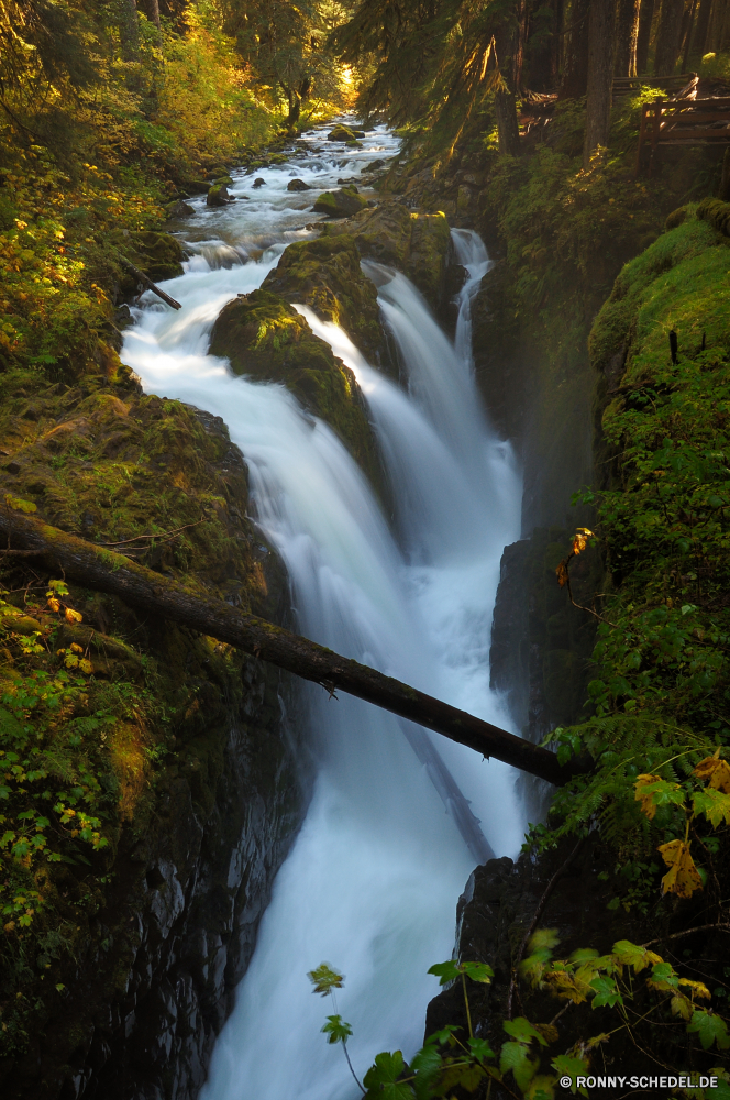 Olympic National Park Wasserfall Schlucht Fluss Schlucht Stream Wasser Wald Tal Fels Kaskade Landschaft Stein Strömung Park fallen fällt Umgebung Wildnis Creek Felsen natürliche depression fließende Bewegung Berg im freien Frühling Wild Moos Reisen natürliche Baum im freien friedliche Kanal platsch landschaftlich Sommer fallen nass Wasserfälle nationalen frisch Körper des Wassers Tourismus glatte Kühl felsigen Steine Szenerie gelassene rasche Berge Blatt Wanderung Abenteuer Bäume Flüsse Ökologie erfrischende Erhaltung Land ruhige Brunnen plantschen SWIFT Wandern Erholung Drop Reinigen See Szene Geschwindigkeit Struktur Herbst reine Belaubung Frieden entspannende Stromschnellen frische Luft Pflanze Hölzer Harmonie niemand Holz Kaskaden Bach Urlaub klar Gras Sonnenlicht Flüssigkeit Regen Farbe Ruhe Pazifischer Nordwesten Felsblock seidige Saison kalt üppige Schwimmbad verschwommen macht erfrischend Klippe Himmel waterfall canyon river ravine stream water forest valley rock cascade landscape stone flow park fall falls environment wilderness creek rocks natural depression flowing motion mountain outdoor spring wild moss travel natural tree outdoors peaceful channel splash scenic summer falling wet waterfalls national fresh body of water tourism smooth cool rocky stones scenery serene rapid mountains leaf hike adventure trees rivers ecology refreshing conservation country tranquil fountain splashing swift hiking recreation drop clean lake scene speed structure autumn pure foliage peace relaxing rapids freshness plant woods harmony nobody wood cascades brook vacation clear grass sunlight fluid rain color calm pacific northwest boulder silky season cold lush pool blurred power refreshment cliff sky