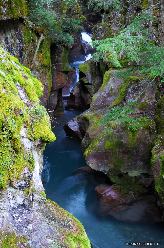 Avalanche Creek Fluss Wasserfall Wald Wasser Stream Baum Landschaft Fels Stein fallen Creek Park Berg im freien Kaskade Moos Umgebung Strömung friedliche natürliche Frühling Wild im freien fließende Bewegung Berge Steine Herbst platsch aquatische woody plant Sommer Felsen Bäume Pflanze landschaftlich Reisen vascular plant Wildnis gelassene nass frisch Steinmauer felsigen Belaubung nationalen Blatt fällt Blätter Ökologie glatte Szenerie Reinigen Holz Tourismus Saison Wasserfälle southern beech Zaun ruhige fallen Brokkoli Frieden Hölzer Bach entspannende üppige Wandern Kühl Szene gelb Garten Wanderung Land Barrier See Flüsse frische Luft bunte erfrischende Erhaltung Ruhe Erholung Sonnenlicht Schlucht Gelassenheit plantschen Gras Farbe niemand Urlaub SWIFT klar Abenteuer reine Gemüse Geschwindigkeit Drop Tag Teich verschwommen Obstruktion Entwicklung des ländlichen river waterfall forest water stream tree landscape rock stone fall creek park mountain outdoor cascade moss environment flow peaceful natural spring wild outdoors flowing motion mountains stones autumn splash aquatic woody plant summer rocks trees plant scenic travel vascular plant wilderness serene wet fresh stone wall rocky foliage national leaf falls leaves ecology smooth scenery clean wood tourism season waterfalls southern beech fence tranquil falling broccoli peace woods brook relaxing lush hiking cool scene yellow garden hike country barrier lake rivers freshness colorful refreshing conservation calm recreation sunlight canyon serenity splashing grass color nobody vacation swift clear adventure pure vegetable speed drop day pond blurred obstruction rural