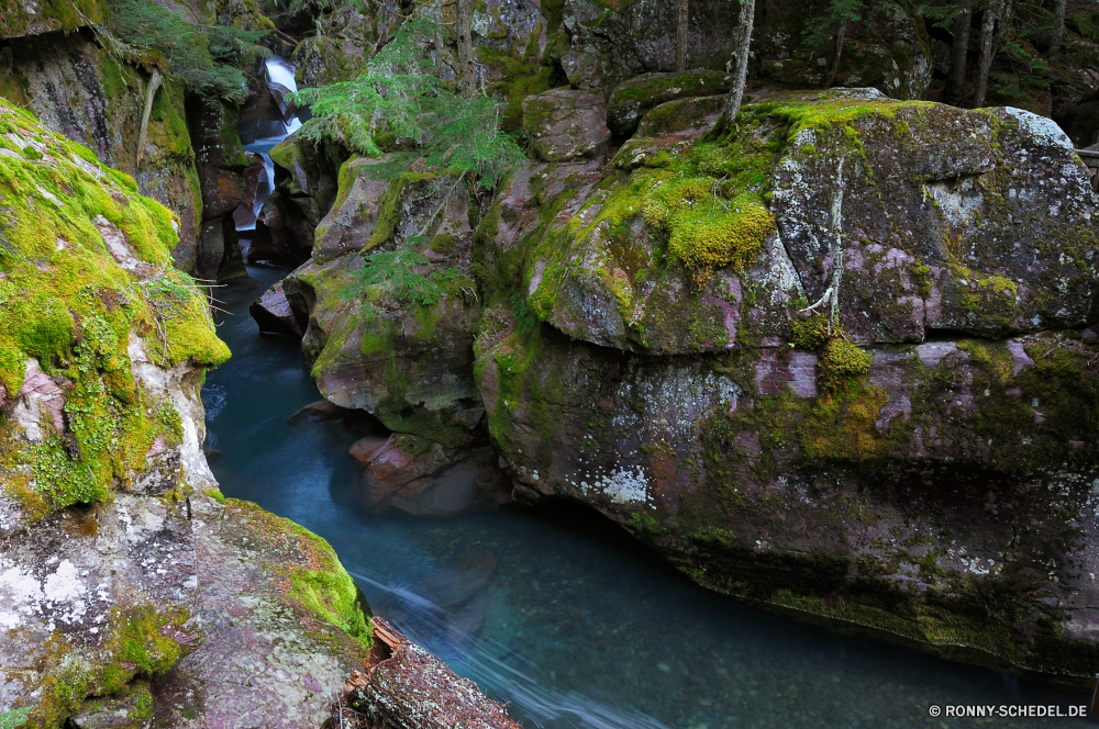 Avalanche Creek Fluss Wald Wasser Fels Stream Stein Landschaft Berg Wasserfall Baum Park im freien fallen Creek Salat Umgebung natürliche Moos vascular plant Kraut Frühling friedliche Pflanze platsch aquatische Strömung Herbst Sommer Reisen Wild Kaskade fließende nass Berge Felsen im freien frisch Blatt Bäume Gemüse Szenerie Saison gelassene Blätter Belaubung Tourismus Steine felsigen zu produzieren nationalen landschaftlich Wildnis Bewegung Reinigen grünen Szene Frieden ruhige Gras Wandern Hölzer Ökologie Bach See Garten Ruhe entspannende Holz gelb Tropischer frische Luft Kühl üppige klar Himmel Farbe bunte glatte Drop Erholung woody plant Flüssigkeit erfrischende Landschaft COS Farben fällt Tag Wanderung Gelassenheit salad green kalt Entspannen Sie sich Entspannung reine Licht niemand river forest water rock stream stone landscape mountain waterfall tree park outdoor fall creek lettuce environment natural moss vascular plant herb spring peaceful plant splash aquatic flow autumn summer travel wild cascade flowing wet mountains rocks outdoors fresh leaf trees vegetable scenery season serene leaves foliage tourism stones rocky produce national scenic wilderness motion clean greens scene peace tranquil grass hiking woods ecology brook lake garden calm relaxing wood yellow tropical freshness cool lush clear sky color colorful smooth drop recreation woody plant liquid refreshing countryside cos colors falls day hike serenity salad green cold relax relaxation pure light nobody