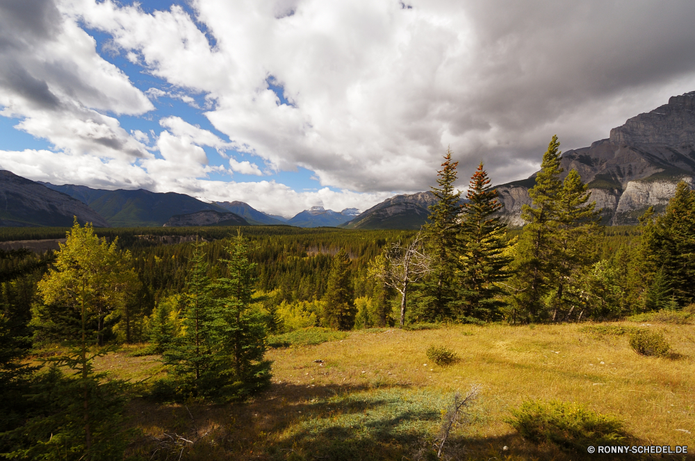 Banff National Park Bereich Berg Landschaft Himmel Wald Berge Baum Hochland Schnee Park Bäume Reisen Spitze Gras nationalen Wildnis im freien Wolke Herbst Tourismus See Tal Sommer fallen Szenerie Umgebung Gletscher landschaftlich Fels Kiefer im freien Fluss Wolken Wiese Alpine Wasser Alpen Atmosphäre felsigen natürliche Winter Feld sonnig Hölzer Saison hoch Horizont Wandern Alp Entwicklung des ländlichen Ökologie Klippe Frühling Holz Urlaub Wild Hügel gelb am Morgen Landschaften Blätter Landschaft ruhige Grat Mount übergeben Panorama Erhaltung idyllische Reise Tag friedliche Spitzen Gipfeltreffen Szene kalt Felsen bewölkt Eis Ruhe Straße Reflexion Rocky mountains Land Hügel Pflanze Steigung horizontale Sonne Wälder klar Jahreszeiten Teich Blume Orange Stein Pfad Licht Farbe Farben range mountain landscape sky forest mountains tree highland snow park trees travel peak grass national wilderness outdoors cloud autumn tourism lake valley summer fall scenery environment glacier scenic rock pine outdoor river clouds meadow alpine water alps atmosphere rocky natural winter field sunny woods season high horizon hiking alp rural ecology cliff spring wood vacation wild hill yellow morning landscapes leaves countryside tranquil ridge mount pass panorama conservation idyllic journey day peaceful peaks summit scene cold rocks cloudy ice calm road reflection rocky mountains country hills plant slope horizontal sun forests clear seasons pond flower orange stone path light color colors