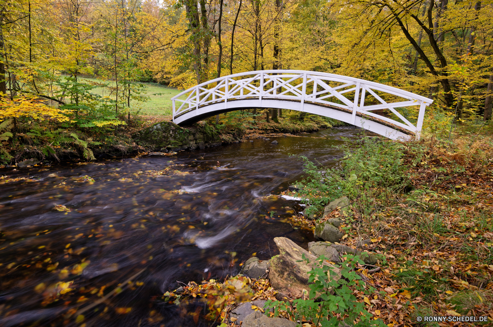 Seifersdorfer Tal Wald Landschaft Baum Park Herbst Fluss fallen Bäume Berg Wasser Entwicklung des ländlichen Brücke Reisen Umgebung natürliche im freien Gras Blatt Straße Szenerie Bogenbrücke aus Stahl Belaubung landschaftlich Wurm-Zaun Saison im freien Zaun Himmel Sommer Berge Holz Frühling Fels Landschaft Struktur Stein Zaun Blätter Stream Pfad Wild gelb Wandern Hölzer Szene Barrier Sonne sonnig Land Sonnenlicht Pflanze bunte See Tourismus Wolken friedliche ruhige Wasserfall Wanderweg Land Wolke Art und Weise Wanderung klar Reling außerhalb Biegung Hügel Licht Wildnis Flora woody plant Farbe Moos Farben kalt zu Fuß vascular plant Winter Feld alt Wetter Frieden Branch entspannende Garten Wanderweg Waldland Creek Obstruktion ruhig Frost Busch Landschaften idyllische Kiefer am Morgen Wiese Tag forest landscape tree park autumn river fall trees mountain water rural bridge travel environment natural outdoor grass leaf road scenery steel arch bridge foliage scenic worm fence season outdoors fence sky summer mountains wood spring rock countryside structure stone rail fence leaves stream path wild yellow hiking woods scene barrier sun sunny country sunlight plant colorful lake tourism clouds peaceful tranquil waterfall trail land cloud way hike clear railing outside bend hill light wilderness flora woody plant color moss colors cold walk vascular plant winter field old weather peace branch relaxing garden footpath woodland creek obstruction quiet frost bush scenics idyllic pine morning meadow day