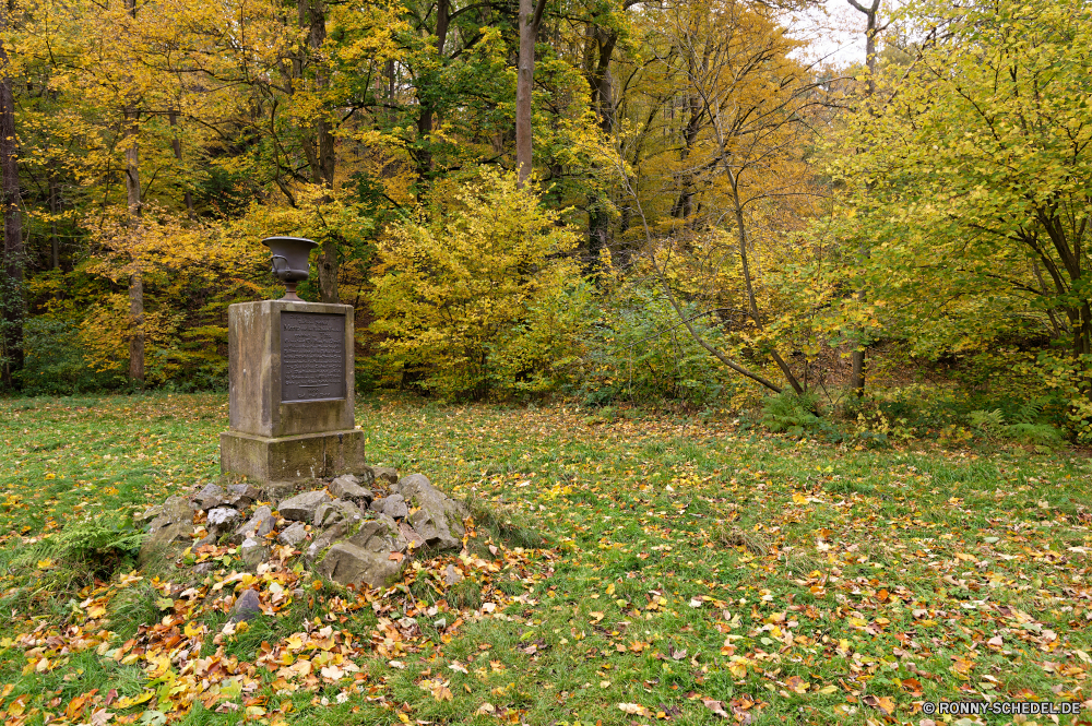 Seifersdorfer Tal Baum woody plant Herbst vascular plant Wald fallen Landschaft Park Bäume Pflanze Blatt Saison Blätter gelb Gras im freien Himmel bunte Garten Branch Pfad Orange Strauch Belaubung Entwicklung des ländlichen Hölzer landschaftlich Szenerie Farbe Holz im freien Szene Farben natürliche Wiese Golden Frühling Umgebung Berg saisonale Reisen Flora Sonnenlicht Feld Licht friedliche ruhige Sommer Land Landschaft Straße Birke Wandern Blumen Forsythie Ahorn Land Zweige Wasser See Tag Jahreszeiten Sonne alt sonnig Bäumchen Blume Zeit nationalen Tourismus Fluss southern beech Bereich Stein Wolken Frieden Horizont Wildnis Landwirtschaft Wanderweg Bewuchs hell Fuß Hügel Berge Braun Schatten Bauernhof Wolke Frühling blühen Boden idyllische Perspektive Pflanzen Gold tree woody plant autumn vascular plant forest fall landscape park trees plant leaf season leaves yellow grass outdoors sky colorful garden branch path orange shrub foliage rural woods scenic scenery color wood outdoor scene colors natural meadow golden spring environment mountain seasonal travel flora sunlight field light peaceful tranquil summer country countryside road birch hiking flowers forsythia maple land branches water lake day seasons sun old sunny sapling flower time national tourism river southern beech area stone clouds peace horizon wilderness agriculture trail vegetation bright walking hill mountains brown shadow farm cloud springtime blooming ground idyllic perspective plants gold