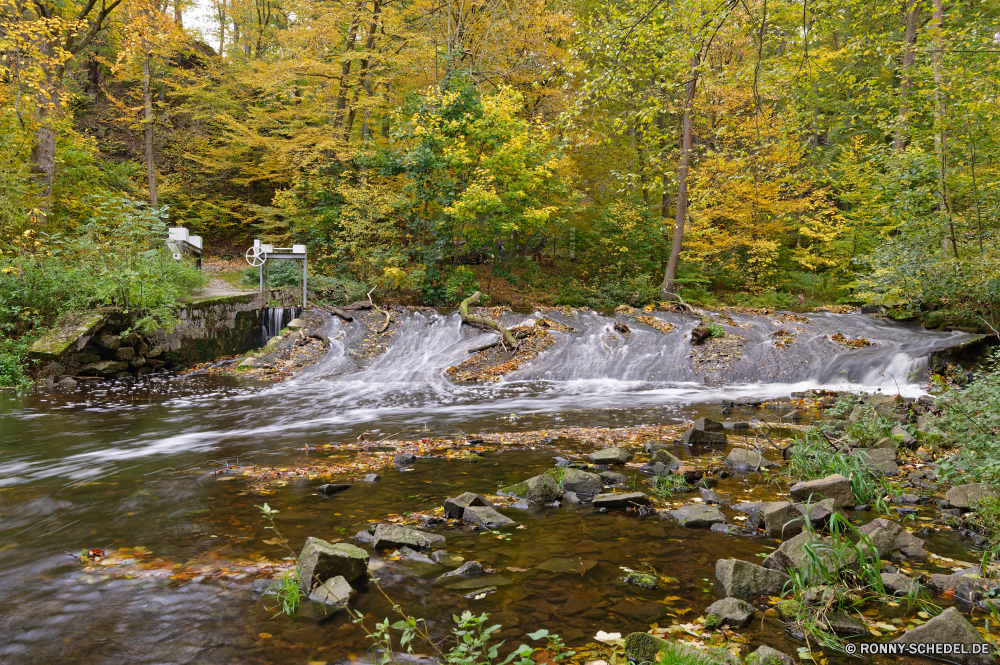 Seifersdorfer Tal Wald Land Fluss Landschaft Wasser Stream Baum Berg Fels Stein Park Bäume Wasserfall Umgebung im freien Creek landschaftlich fallen Berge natürliche Frühling Belaubung im freien fließende Szenerie Moos Herbst friedliche Hölzer Wild Sommer Pflanze Blätter Felsen Blatt Strömung Reisen nass Entwicklung des ländlichen Wildnis ruhige Gras Szene üppige Saison Kaskade See frische Luft frisch Reinigen Bewegung Wandern Sumpf Steine gelassene Kanal Tourismus klar platsch Teich bunte Brücke Garten Drop nationalen Holz Sonnenlicht Farben Tag Himmel woody plant Feuchtgebiet Ruhe Frieden glatte Landschaften Körper des Wassers idyllische Ökologie Landschaft rasche gelb entspannende Reflexion vascular plant Land sonnig felsigen fallen Schnee Sonne forest land river landscape water stream tree mountain rock stone park trees waterfall environment outdoor creek scenic fall mountains natural spring foliage outdoors flowing scenery moss autumn peaceful woods wild summer plant leaves rocks leaf flow travel wet rural wilderness tranquil grass scene lush season cascade lake freshness fresh clean motion hiking swamp stones serene channel tourism clear splash pond colorful bridge garden drop national wood sunlight colors day sky woody plant wetland calm peace smooth scenics body of water idyllic ecology countryside rapid yellow relaxing reflection vascular plant country sunny rocky falling snow sun