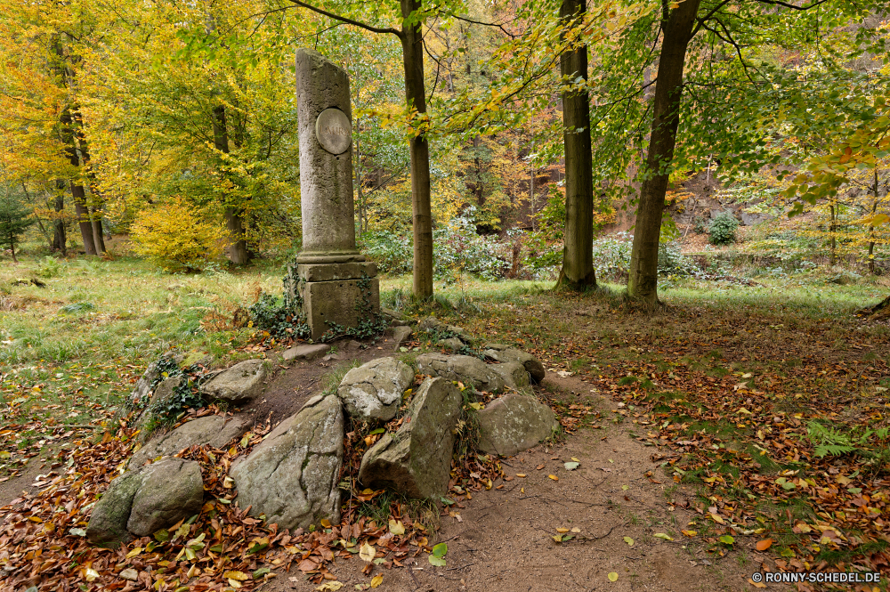 Seifersdorfer Tal Friedhof Grabstein Stein Gedenkstätte Wald Park Bäume Baum Landschaft Struktur Gras alt Herbst Belaubung Blätter im freien Blatt fallen Gebäude Architektur Landschaft Branch Reisen friedliche im freien Entwicklung des ländlichen landschaftlich Saison Sommer natürliche gelb Antike Straße Frühling Holz Hölzer Pfad Garten Frieden Tod Orange bunte Farben historischen Licht Szenerie Friedhof Toten Land Zweige Himmel Kreuz Haus Mauer Umgebung Grab Religion Schatten Geschichte Kofferraum Wandern Golden hell Farbe Kirche Wahrzeichen Sonne Sonnenlicht saisonale Tag Palast Antik Wanderweg Pflanze Wildnis Stadt Wasser cemetery gravestone stone memorial forest park trees tree landscape structure grass old autumn foliage leaves outdoor leaf fall building architecture countryside branch travel peaceful outdoors rural scenic season summer natural yellow ancient road spring wood woods path garden peace death orange colorful colors historic light scenery graveyard dead country branches sky cross house wall environment grave religion shadow history trunk hiking golden bright color church landmark sun sunlight seasonal day palace antique trail plant wilderness city water