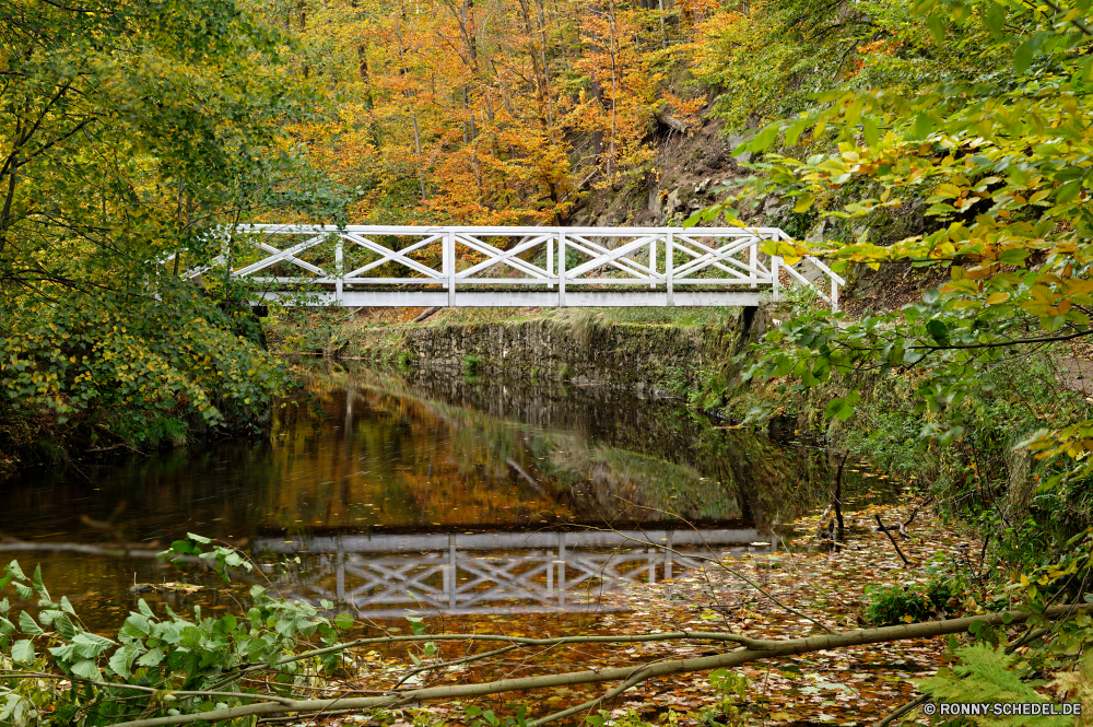 Seifersdorfer Tal Gewächshaus Struktur Landschaft Gebäude Brücke Baum Wald Bäume Gras landschaftlich Fluss Szenerie Sommer Bogenbrücke aus Stahl im freien Wasser Park Himmel Entwicklung des ländlichen Herbst im freien Pfad friedliche Umgebung Pflanze Garten Belaubung Szene ruhige fallen Reisen natürliche Frühling See Landschaft Berge Berg Fels Flora Saison Blatt Hügel Track Wolke Feld Holz Warenkorb Wolken Tag Hölzer Land Blätter Sonne außerhalb Horizont Schritt Bauernhof Wandern sonnig Unterstützung Stein niemand Handwagen Straße Wiese Wanderung Wanderweg zu Fuß Farbe Architektur Sonnenlicht Landwirtschaft ruhig Wildnis Tropischer gelassene idyllische Pflanzen Tourismus Frieden Barrier gelb bunte Waldland Sitzbank Hügel üppige Bau Bewuchs Art und Weise Landschaften Radfahrzeug England Gartenarbeit Ufer Stream Felsen Zaun Gerät Ruhe Wetter greenhouse structure landscape building bridge tree forest trees grass scenic river scenery summer steel arch bridge outdoors water park sky rural autumn outdoor path peaceful environment plant garden foliage scene tranquil fall travel natural spring lake countryside mountains mountain rock flora season leaf hill track cloud field wood shopping cart clouds day woods country leaves sun outside horizon step farm hiking sunny support stone nobody handcart road meadow hike trail walk color architecture sunlight agriculture quiet wilderness tropical serene idyllic plants tourism peace barrier yellow colorful woodland bench hills lush construction vegetation way scenics wheeled vehicle england gardening shore stream rocks fence device calm weather