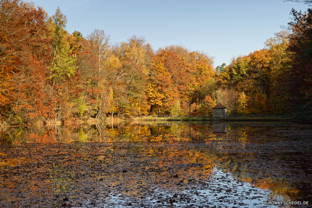 Seerenteich Baum woody plant Pappel Herbst Wald Landschaft fallen vascular plant Bäume gelb Blatt Park Birke Saison Belaubung Hölzer Blätter Szenerie im freien Fluss Himmel Wasser Pflanze See Gras landschaftlich natürliche Entwicklung des ländlichen Branch Holz bunte Golden im freien friedliche Orange Landschaft Farbe Szene Umgebung Farben Land Reflexion Berg Land Straße Feld Reisen ruhige Wiese Sommer Frühling Berge Ruhe Wandern Flora Tag Pfad Jahreszeiten Busch Sonne Licht Wildnis Garten Frieden Wolken am Morgen Sonnenlicht gelassene sonnig Waldland Zweige Teich idyllische hell Ahorn saisonale klar Landschaften Panorama Hügel Weide Strauch Tourismus Gold Sonnenuntergang Wild Kiefer ruhig Brücke Herbstfarben Fels Wanderung üppige Fuß nationalen Landwirtschaft tree woody plant poplar autumn forest landscape fall vascular plant trees yellow leaf park birch season foliage woods leaves scenery outdoors river sky water plant lake grass scenic natural rural branch wood colorful golden outdoor peaceful orange countryside color scene environment colors country reflection mountain land road field travel tranquil meadow summer spring mountains calm hiking flora day path seasons bush sun light wilderness garden peace clouds morning sunlight serene sunny woodland branches pond idyllic bright maple seasonal clear scenics panorama hill willow shrub tourism gold sunset wild pine quiet bridge autumnal rock hike lush walking national agriculture