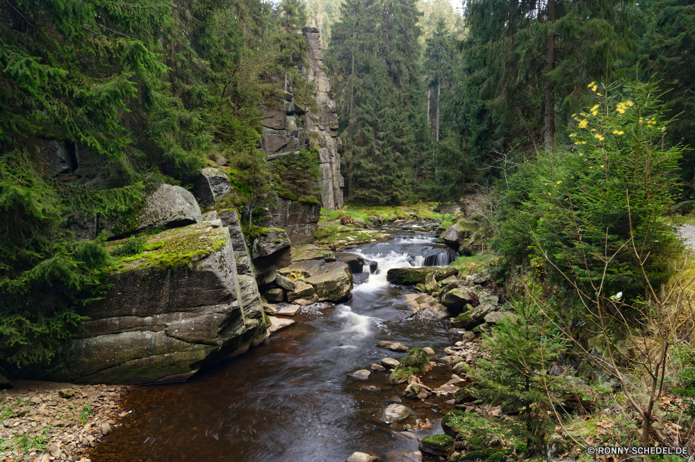 Schwarzwassertal Wald Fluss Baum Landschaft Land Wasser Stream Berg Fels Stein Park Wildnis Berge Bäume Wasserfall im freien Creek Hölzer Sommer Moos landschaftlich natürliche Szenerie Umgebung Reisen Frühling friedliche Wild im freien fließende Belaubung Kanal nass fallen Felsen Strömung Entwicklung des ländlichen Pflanze Kiefer ruhige Wandern Landschaften Körper des Wassers woody plant Gras Steinmauer Schlucht Tal Sumpf felsigen Herbst Blätter Kaskade Saison Brücke Himmel Zaun sonnig Bewegung Ruhe Frieden nationalen Reinigen üppige Mauer Holz klar Szene gelassene platsch Hügel Feuchtgebiet Tourismus vascular plant Sonnenlicht Gelände Schlucht Barrier See Aufstieg Wanderung ruhig Steine Wolken frische Luft Klippe Landschaft Land Schwall Bach rasche frisch Blatt Wanderweg Bereich Pfad Schnee Garten Tag forest river tree landscape land water stream mountain rock stone park wilderness mountains trees waterfall outdoor creek woods summer moss scenic natural scenery environment travel spring peaceful wild outdoors flowing foliage channel wet fall rocks flow rural plant pine tranquil hiking scenics body of water woody plant grass stone wall canyon valley swamp rocky autumn leaves cascade season bridge sky fence sunny motion calm peace national clean lush wall wood clear scene serene splash hill wetland tourism vascular plant sunlight terrain ravine barrier lake ascent hike quiet stones clouds freshness cliff countryside country torrent brook rapid fresh leaf trail area path snow garden day