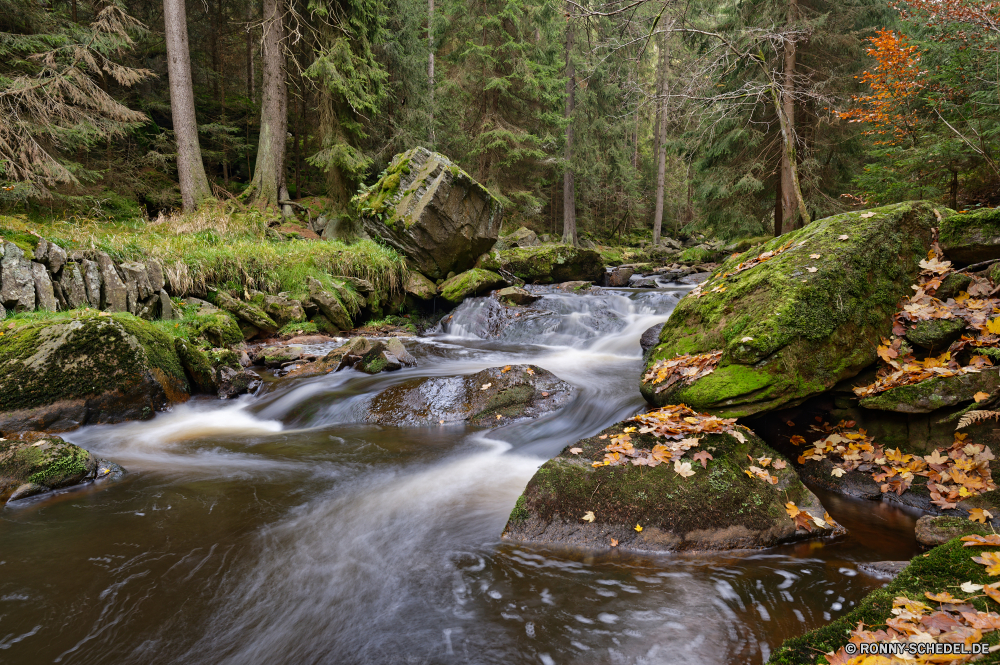 Schwarzwassertal Wald Fluss Land Stream Wasser Wasserfall Landschaft Berg Stein Fels Creek Kanal Moos Baum Körper des Wassers fallen Park im freien Strömung Umgebung Frühling fließende Wild natürliche Kaskade Bäume friedliche Sommer platsch Wildnis Szenerie Reinigen nass landschaftlich Felsen Berge Herbst Bewegung Reisen ruhige Belaubung glatte Szene Drop Blatt Hölzer im freien Saison frische Luft Tourismus Steine Blätter frisch Frieden entspannende gelassene Schlucht Geschwindigkeit Pflanze Gras rasche fällt Garten üppige Teich Bewegung See Holz Schlucht seidige Wandern Entwicklung des ländlichen klar Ruhe nationalen Bach Wasserfälle steilen Flüssigkeit fallen Schwimmbad Tropischer Sumpf Tal unberührten felsigen Tag Harmonie Urlaub Erholung Ströme bunte sonnig Ausführen Postkarte Ökologie Landschaft gelb Sonne Kühl forest river land stream water waterfall landscape mountain stone rock creek channel moss tree body of water fall park outdoor flow environment spring flowing wild natural cascade trees peaceful summer splash wilderness scenery clean wet scenic rocks mountains autumn motion travel tranquil foliage smooth scene drop leaf woods outdoors season freshness tourism stones leaves fresh peace relaxing serene canyon speed plant grass rapid falls garden lush pond movement lake wood ravine silky hiking rural clear calm national brook waterfalls steep fluid falling pool tropical swamp valley pristine rocky day harmony vacation recreation streams colorful sunny running postcard ecology countryside yellow sun cool