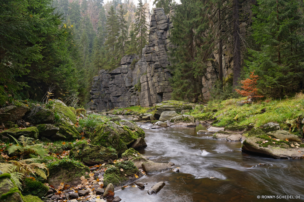 Schwarzwassertal Wald Fluss Baum Landschaft Wasser Berg Berge Bäume Stream Park Fels Land Kanal Stein Wildnis Wasserfall im freien Reisen Wild Schlucht Körper des Wassers Creek Szenerie im freien Umgebung Kiefer Tal woody plant landschaftlich fallen Felsen Sommer Hölzer natürliche Strömung friedliche Wandern nationalen Moos Belaubung Pflanze Aufstieg fließende felsigen Blätter Kaskade vascular plant nass Herbst Himmel Schlucht ruhige Wolken Frühling Entwicklung des ländlichen Szene Gras Landschaften Klippe Steigung Brücke Frieden Holz Tourismus Gelände frisch gelassene Hügel Saison See Wanderweg klar hoch Steine Ruhe Bach Sonne Tag sonnig platsch Landschaft Sonnenlicht Farben Wanderung Spitze üppige Reinigen frische Luft southern beech Sumpf forest river tree landscape water mountain mountains trees stream park rock land channel stone wilderness waterfall outdoor travel wild canyon body of water creek scenery outdoors environment pine valley woody plant scenic fall rocks summer woods natural flow peaceful hiking national moss foliage plant ascent flowing rocky leaves cascade vascular plant wet autumn sky ravine tranquil clouds spring rural scene grass scenics cliff slope bridge peace wood tourism terrain fresh serene hill season lake trail clear high stones calm brook sun day sunny splash countryside sunlight colors hike peak lush clean freshness southern beech swamp