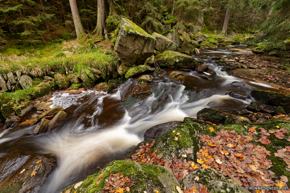 Schwarzwassertal Wasserfall Fluss Stream Barsoi Wasser Fels Wolfshund Stein Wald Strömung Landschaft fallen Bracke Creek Kaskade Park fließende Moos Schlucht Bewegung natürliche im freien Wild Umgebung platsch nass Berg Frühling Schlucht friedliche Felsen Baum Jagdhund Szenerie landschaftlich Tal im freien Reisen frisch fällt glatte Wildnis gelassene Berge Sommer ruhige Belaubung nationalen Hölzer Drop Reinigen fallen Steine Kühl frische Luft felsigen Szene Bäume Wasserfälle Hund Flüsse Tourismus Geschwindigkeit Blatt Frieden Abenteuer Herbst natürliche depression Ökologie Saison Stromschnellen rasche Wandern Erhaltung Blätter SWIFT Erholung plantschen erfrischende Pflanze reine Wanderung Flüssigkeit Land Belichtung seidige Neu üppige gischt verschwommen Flüssigkeit Harmonie Weichzeichnen Holz Ruhe erfrischend klar Nebel Gras Ausführen Regen Bewegung Reinheit Urlaub entspannende Shorebird Kaskaden kalt Landschaften idyllische Entspannung lange Erde bunte niemand waterfall river stream borzoi water rock wolfhound stone forest flow landscape fall hound creek cascade park flowing moss canyon motion natural outdoor wild environment splash wet mountain spring ravine peaceful rocks tree hunting dog scenery scenic valley outdoors travel fresh falls smooth wilderness serene mountains summer tranquil foliage national woods drop clean falling stones cool freshness rocky scene trees waterfalls dog rivers tourism speed leaf peace adventure autumn natural depression ecology season rapids rapid hiking conservation leaves swift recreation splashing refreshing plant pure hike fluid country exposure silky new lush spray blurred liquid harmony blur wood calm refreshment clear mist grass running rain movement purity vacation relaxing shorebird cascades cold scenics idyllic relaxation long earth colorful nobody