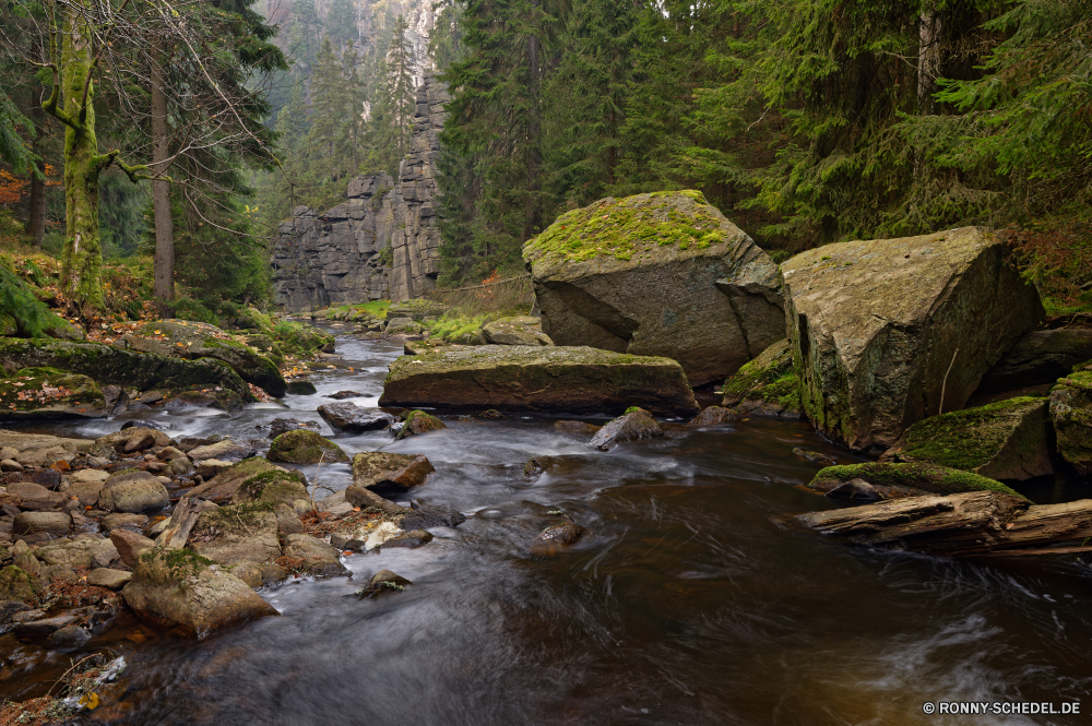 Schwarzwassertal Fluss Wasser Landschaft Stream Wald Berg Fels Stein Kanal Baum Berge Körper des Wassers Park Wasserfall Bäume Wildnis Creek Wild Moos im freien im freien Frühling Reisen natürliche Felsen landschaftlich Sommer friedliche fließende Brücke Strömung Umgebung Szenerie Kaskade nationalen fallen Struktur Schlucht felsigen nass Bewegung Reinigen Entwicklung des ländlichen Barrier Tourismus Steinmauer ruhige Herbst See rasche frische Luft Hölzer Himmel klar Land Schlucht Landschaften Zaun Tal Klippe Mauer Pflanze Wandern Blätter frisch Steine sonnig platsch Tag Obstruktion Gras gelassene Belaubung Landschaft Bach üppige Szene Wolken Holz Urlaub Drop Schwall steilen Geologie fallen Garten Extreme Megalith Kiefer Hügel Geschwindigkeit Ruhe Frieden glatte Land Saison Blatt river water landscape stream forest mountain rock stone channel tree mountains body of water park waterfall trees wilderness creek wild moss outdoor outdoors spring travel natural rocks scenic summer peaceful flowing bridge flow environment scenery cascade national fall structure canyon rocky wet motion clean rural barrier tourism stone wall tranquil autumn lake rapid freshness woods sky clear land ravine scenics fence valley cliff wall plant hiking leaves fresh stones sunny splash day obstruction grass serene foliage countryside brook lush scene clouds wood vacation drop torrent steep geology falling garden extreme megalith pine hill speed calm peace smooth country season leaf