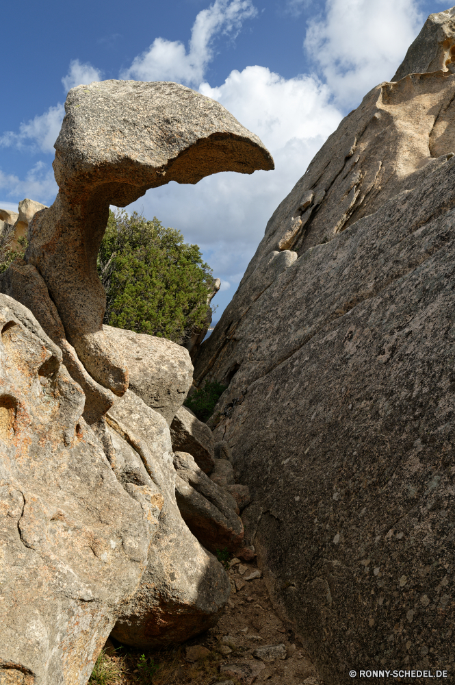 Bärenfelsen Megalith Landschaft Fels Berg Stein Gedenkstätte Struktur Reisen Stroh Klippe Himmel Tourismus Dach Hügel Baum Felsen Berge Schutzüberzug Wüste Wildnis felsigen Park im freien landschaftlich Schlucht im freien Geologie Sommer nationalen Geschichte Grab Umgebung Sand Antike Bespannung Wanderung Tal Tourist Mauer natürliche Gebäude Murmeltier Wahrzeichen Architektur Wandern Urlaub alt Aushöhlung Tag Bildung Sandstein Nagetier Sonne Pflanze hoch Steine außerhalb Ziel Denkmal Insel woody plant Szenerie Schloss Spitze Reiseziele Landschaften Wolken historischen geologische formation Fluss Urlaub steilen geologische Meer coral tree Ruine Gelände Nach oben Rau Sonnenlicht megalith landscape rock mountain stone memorial structure travel thatch cliff sky tourism roof hill tree rocks mountains protective covering desert wilderness rocky park outdoor scenic canyon outdoors geology summer national history grave environment sand ancient covering hike valley tourist wall natural building marmot landmark architecture hiking vacation old erosion day formation sandstone rodent sun plant high stones outside destination monument island woody plant scenery castle peak destinations scenics clouds historic geological formation river holiday steep geological sea coral tree ruin terrain top rough sunlight