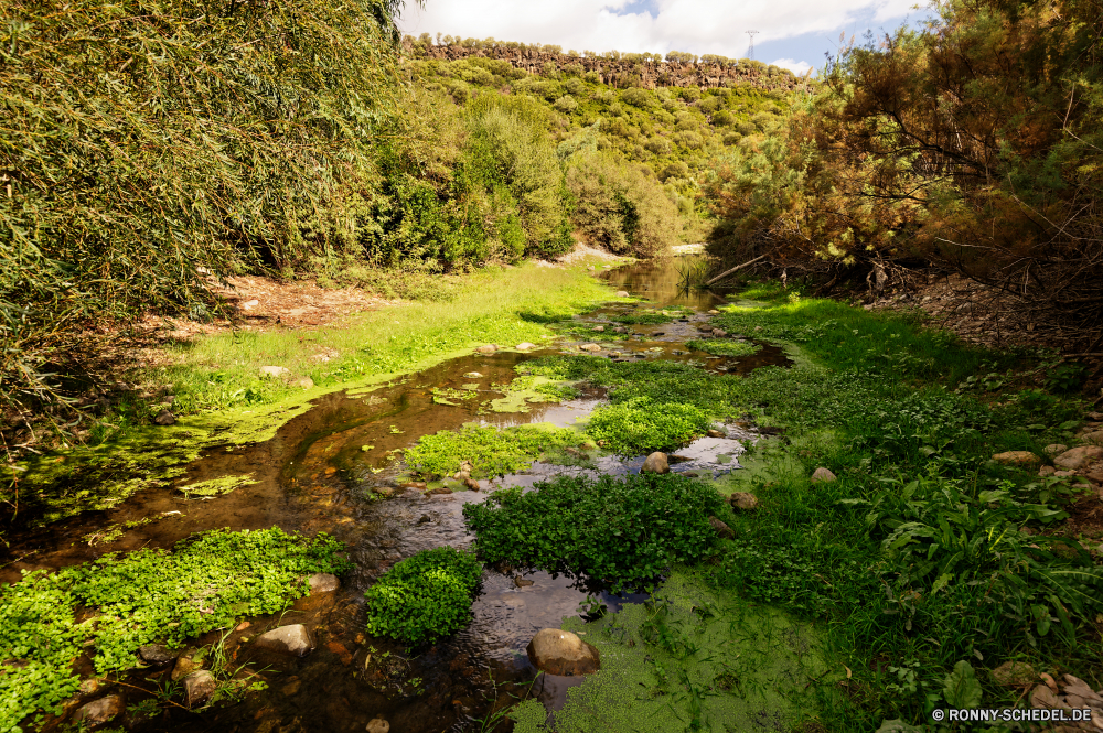 Sorgente Su Gologone Baum Landschaft Wald Gras Pflanze Garten Park Bäume vascular plant Berg woody plant Frühling Fluss ruhige im freien Sommer Belaubung landschaftlich Umgebung Pfad Himmel Wasser friedliche im freien Fels natürliche Berge Reisen Feld Blatt Labyrinth Szenerie Hölzer Entwicklung des ländlichen Stein Hügel Blätter üppige Busch Straße Tal Wiese Stream Wild Sonne Pflanzen Landschaft Flora Landwirtschaft Szene Tag Licht Sonnenlicht Wanderweg Herbst Wolke sonnig Ruhe fallen Land gelassene Rasen Saison bunte Blume Tee Holz Frieden Land Bauernhof Kraut Creek Wachstum Teich Wandern frisch Ziel alt See Branch aquatische Schatten Farben Schlucht Plantage Blumen Hügel Gartenarbeit Süden gelb hell tree landscape forest grass plant garden park trees vascular plant mountain woody plant spring river tranquil outdoors summer foliage scenic environment path sky water peaceful outdoor rock natural mountains travel field leaf maze scenery woods rural stone hill leaves lush bush road valley meadow stream wild sun plants countryside flora agriculture scene day light sunlight trail autumn cloud sunny calm fall land serene lawn season colorful flower tea wood peace country farm herb creek growth pond hiking fresh destination old lake branch aquatic shadow colors canyon plantation flowers hills gardening south yellow bright