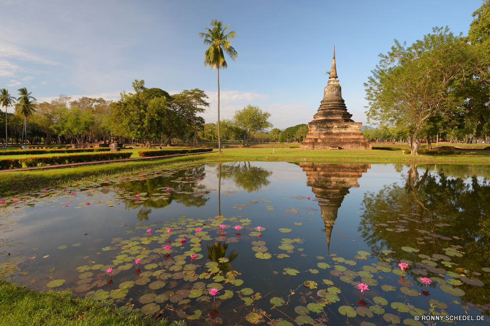 Sukhothai Historical Park Tempel Gebäude Architektur Schrein Palast Reisen Antike Himmel Landschaft Religion Baum Wahrzeichen alt Struktur Tourismus See Wasser Fluss Ort der Anbetung religiöse Geschichte berühmte Kultur Pagode Wald Park Denkmal Stadt Residenz traditionelle Reflexion Turm Stein Backstein Kirche Haus Wolken Gras landschaftlich Sommer historischen Erbe Teich Gold Platz Tourist im freien Gottesdienst Bäume Statue aussenansicht Berg spirituelle Herbst Kunst Szene Golden Kuppel ruhige im freien Urlaub heilig Ruine Spiritualität Osten bunte Dach Farbe Wolke sonnig Skulptur Panorama Umgebung Land Wohnung Tag Saison Schloss Kloster Orientalische historische Pflanze Ziel Stadt Berge nationalen Szenerie Wiese Frühling temple building architecture shrine palace travel ancient sky landscape religion tree landmark old structure tourism lake water river place of worship religious history famous culture pagoda forest park monument city residence traditional reflection tower stone brick church house clouds grass scenic summer historic heritage pond gold place tourist outdoors worship trees statue exterior mountain spiritual autumn art scene golden dome tranquil outdoor vacation sacred ruin spirituality east colorful roof color cloud sunny sculpture panorama environment country dwelling day season castle monastery oriental historical plant destination town mountains national scenery meadow spring