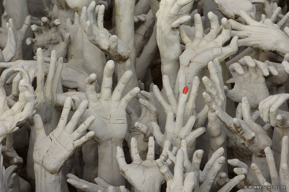 The White Temple (Wat Rong Khun) Steingut Korallenpilz Keramikware Pilz Skulptur Organismus utensil Stein Statue Eis Architektur Antike alt Kultur Geschichte Kristall Kunst Tempel Denkmal Detail Reisen solide Wahrzeichen Gebäude Religion berühmte historischen Schließen Baum trocken Tourismus Marmor Erbe Muster Osten Pflanze Struktur Schnitzerei Textur Fels China religiöse Stadt Landschaft Himmel Tier traditionelle im freien closeup Kirche natürliche Tourist schwarz texturierte earthenware coral fungus ceramic ware fungus sculpture organism utensil stone statue ice architecture ancient old culture history crystal art temple monument detail travel solid landmark building religion famous historic close tree dry tourism marble heritage pattern east plant structure carving texture rock china religious city landscape sky animal traditional outdoors closeup church natural tourist black textured