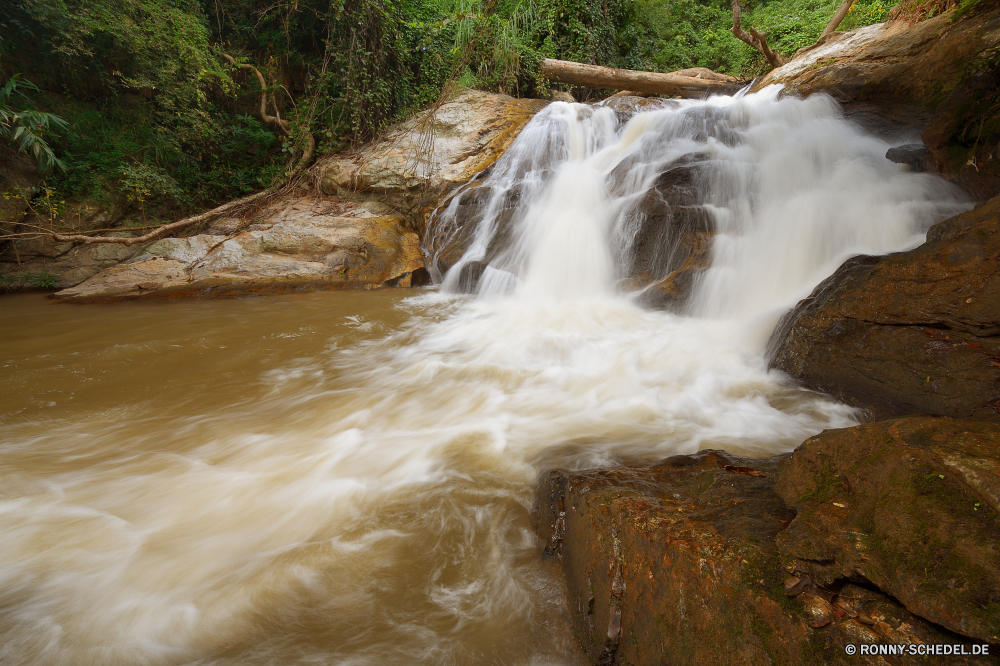 Mae Sa Waterfall Wasserfall Fluss Wasser Stream Fels Wald Landschaft Stein Körper des Wassers Strömung Kanal Berg fallen Creek fließende Kaskade Umgebung Bewegung Felsen Park Wild im freien Reisen im freien fällt Baum Moos Frühling Wildnis natürliche Schlucht Schlucht fallen platsch nass friedliche Dam landschaftlich Barrier Szenerie Sommer Tourismus Steine rasche Berge frische Luft Geschwindigkeit Blatt Bäume Reinigen Abenteuer Herbst glatte Drop plantschen frisch Tal Ökologie nationalen felsigen Eis Ozean Kühl Erhaltung Obstruktion Klippe Szene Wasserfälle ruhige Wandern gelassene See SWIFT Belaubung Saison Flüsse kalt Harmonie macht Pflanze Kaskaden Stromschnellen Struktur klar Extreme erfrischend Kristall Erholung geologische formation Felsblock Land gischt erfrischende Landschaften Hölzer Bewegung Holz verschwommen natürliche depression Umwelt- Ruhe Farbe Himmel waterfall river water stream rock forest landscape stone body of water flow channel mountain fall creek flowing cascade environment motion rocks park wild outdoor travel outdoors falls tree moss spring wilderness natural canyon ravine falling splash wet peaceful dam scenic barrier scenery summer tourism stones rapid mountains freshness speed leaf trees clean adventure autumn smooth drop splashing fresh valley ecology national rocky ice ocean cool conservation obstruction cliff scene waterfalls tranquil hiking serene lake swift foliage season rivers cold harmony power plant cascades rapids structure clear extreme refreshment crystal recreation geological formation boulder country spray refreshing scenics woods movement wood blurred natural depression environmental calm color sky