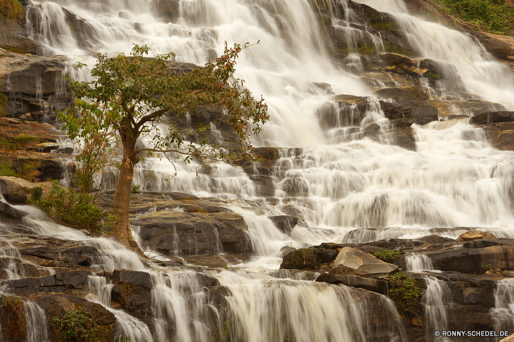 Mae Ya Waterfall Eis Wasserfall Kristall Fluss Wasser Stream solide Fels Wald Kaskade Stein Landschaft fallen fließende Park Creek Berg Strömung Felsen im freien Bewegung Umgebung Reisen fällt Frühling Wild Moos Wildnis natürliche platsch im freien Schlucht Schlucht fallen landschaftlich Tourismus nass Sommer Baum friedliche felsigen Tal glatte ruhige Szenerie frisch Bäume Kühl plantschen Drop Abenteuer Steine gelassene frische Luft rasche Erhaltung Blatt Wasserfälle Ökologie nationalen Reinigen natürliche depression Flüsse See Geschwindigkeit Brunnen SWIFT Szene Pflanze Tropischer Belaubung Wandern Herbst Struktur Harmonie Kaskaden Stromschnellen Erholung Belichtung üppige verschwommen Berge macht Garten erfrischend seidige Land Flüssigkeit erfrischende kalt Saison Weichzeichnen Frieden Klippe gischt Hölzer Holz lange Gras Kanal Tag ice waterfall crystal river water stream solid rock forest cascade stone landscape fall flowing park creek mountain flow rocks outdoor motion environment travel falls spring wild moss wilderness natural splash outdoors canyon ravine falling scenic tourism wet summer tree peaceful rocky valley smooth tranquil scenery fresh trees cool splashing drop adventure stones serene freshness rapid conservation leaf waterfalls ecology national clean natural depression rivers lake speed fountain swift scene plant tropical foliage hiking autumn structure harmony cascades rapids recreation exposure lush blurred mountains power garden refreshment silky country fluid refreshing cold season blur peace cliff spray woods wood long grass channel day