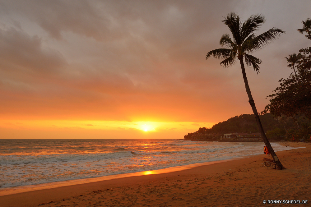 Chaweng Noi Beach / Ko Samui Strand Palm Ozean Insel Meer Tropischer Sand Paradies Sonne Küste Wasser Himmel Urlaub Baum Reisen Urlaub Ufer Sonnenuntergang Kokosnuss Sommer Landschaft Entspannen Sie sich Resort Bucht Horizont seelandschaft idyllische exotische landschaftlich Tourismus Küstenlinie Küste Wolke am Meer ruhige Wendekreis friedliche Bäume Ziel sonnig Entspannung Türkis Welle Ruhe Sonnenaufgang im freien Kontur Dämmerung Wolken Handflächen warm Reflexion Szenerie romantische Palme klar Szene entspannende Traum Reise Frieden 'Nabend Palmen Erholung Urlaub Lagune Tropen Schatten Morgenröte natürliche gelassene außerhalb Orange Pazifik Surf Reiseziele ruhig im freien Nacht Küste Himmel Klima Blatt Pflanze Sonnenlicht Escape heiß Wellen Ufer bunte hell Sonnenuntergang Landschaften Rest Farbe Tag niemand beach palm ocean island sea tropical sand paradise sun coast water sky vacation tree travel holiday shore sunset coconut summer landscape relax resort bay horizon seascape idyllic exotic scenic tourism shoreline coastline cloud seaside tranquil tropic peaceful trees destination sunny relaxation turquoise wave calm sunrise outdoor silhouette dusk clouds palms warm reflection scenery romantic palm tree clear scene relaxing dream trip peace evening palm trees recreation holidays lagoon tropics shadow dawn natural serene outside orange pacific surf destinations quiet outdoors night coastal heaven climate leaf plant sunlight escape hot waves waterside colorful bright sundown scenics rest color day nobody