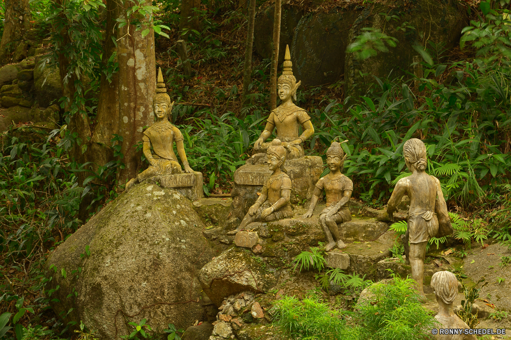 Secret Buddha Garden / Ko Samui Baum Wald woody plant Landschaft Bäume vascular plant Park Pflanze im freien Knoll Stein Szenerie landschaftlich Umgebung Belaubung Hölzer Essbare Früchte Blätter Holz Blatt im freien Bäumchen Gras natürliche Frühling zu produzieren Sommer friedliche fallen ruhige Garten Entwicklung des ländlichen Reisen Obst Saison Pfad Wandern Fuß Frieden Landschaft Branch Kofferraum Berg Busch Zaun Fels Gedenkstätte Steinmauer Straße Wanderung Fluss Wasser Herbst Wild Stream Regen Tag Wildnis Tourismus Sonnenlicht Spur Birke alt Wanderweg Sonne Land üppige Skulptur Grabstein gelassene Teakholz Land Flora nass Wanderweg Dschungel Zweige Szene Bewuchs bunte Statue Tropischer Himmel Tourist gelb Moos Antike zu Fuß Barrier Struktur Rest Pflanzen Ökologie Kiefer Religion Landwirtschaft tree forest woody plant landscape trees vascular plant park plant outdoors knoll stone scenery scenic environment foliage woods edible fruit leaves wood leaf outdoor sapling grass natural spring produce summer peaceful fall tranquil garden rural travel fruit season path hiking walking peace countryside branch trunk mountain bush fence rock memorial stone wall road hike river water autumn wild stream rain day wilderness tourism sunlight lane birch old trail sun country lush sculpture gravestone serene teak land flora wet footpath jungle branches scene vegetation colorful statue tropical sky tourist yellow moss ancient walk barrier structure rest plants ecology pine religion agriculture