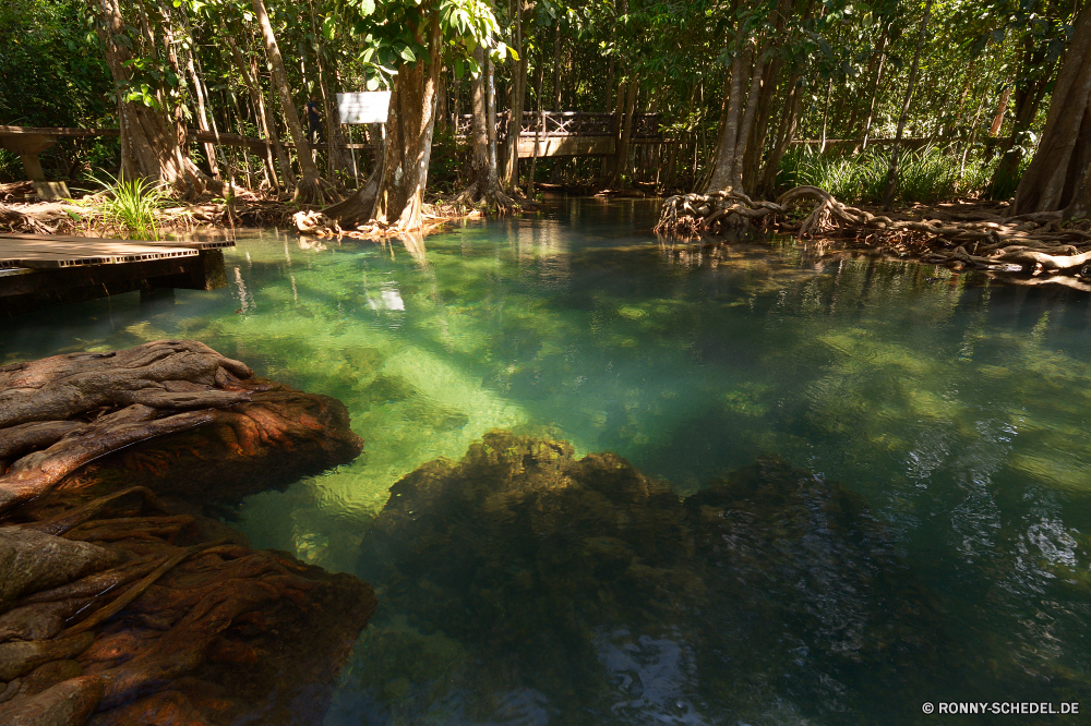 Tha Pom Klong Song Nam Sumpf Fluss Feuchtgebiet Land Wald Wasser Landschaft Stream Baum Bäume Berg Park Stein See Wasserfall Fels Kanal natürliche Umgebung Sommer Körper des Wassers im freien Himmel ruhige Creek Teich landschaftlich fallen Gras Szenerie Strömung Szene Reflexion Moos Entwicklung des ländlichen Reisen Frühling Wild friedliche Pflanze Felsen fließende Herbst Berge Belaubung Kaskade Hölzer nass im freien Tourismus nationalen Reinigen Blatt klar Sonne üppige platsch glatte Drop Urlaub Blätter frisch woody plant Wildnis frische Luft Sonnenlicht Landschaften gelassene sonnig Bewegung Ruhe Garten vascular plant England idyllische Saison Wolken Frieden aquatische Land Brücke Tal Meer niemand Steine Tropischer Holz Ufer Landschaft Küste Erholung Farben Wandern Erhaltung Küste Insel Geschwindigkeit Sonnenuntergang swamp river wetland land forest water landscape stream tree trees mountain park stone lake waterfall rock channel natural environment summer body of water outdoor sky tranquil creek pond scenic fall grass scenery flow scene reflection moss rural travel spring wild peaceful plant rocks flowing autumn mountains foliage cascade woods wet outdoors tourism national clean leaf clear sun lush splash smooth drop vacation leaves fresh woody plant wilderness freshness sunlight scenics serene sunny motion calm garden vascular plant england idyllic season clouds peace aquatic country bridge valley sea nobody stones tropical wood shore countryside coast recreation colors hiking conservation coastline island speed sunset